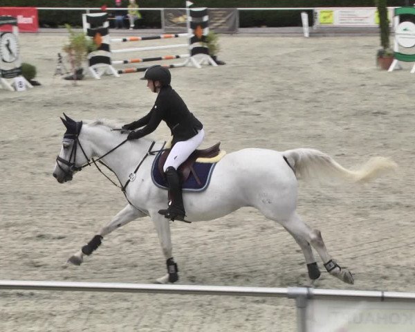 Reitturnier Durmersheim-Hardt 2018