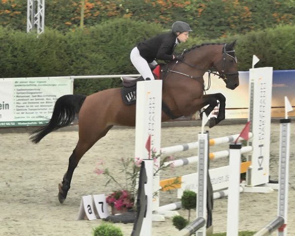 Reitturnier Durmersheim-Hardt 2018