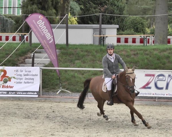Reitturnier Durmersheim-Hardt 2018