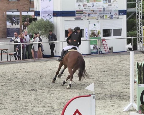 Reitturnier Durmersheim-Hardt 2018