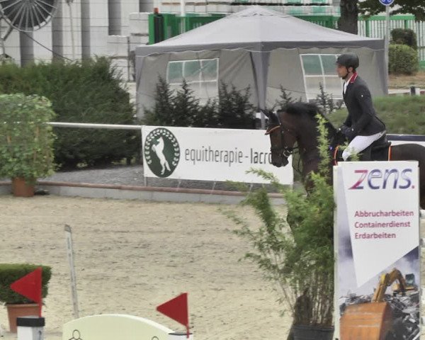 Reitturnier Durmersheim-Hardt 2018