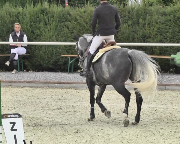 Reitturnier Durmersheim-Hardt 2018