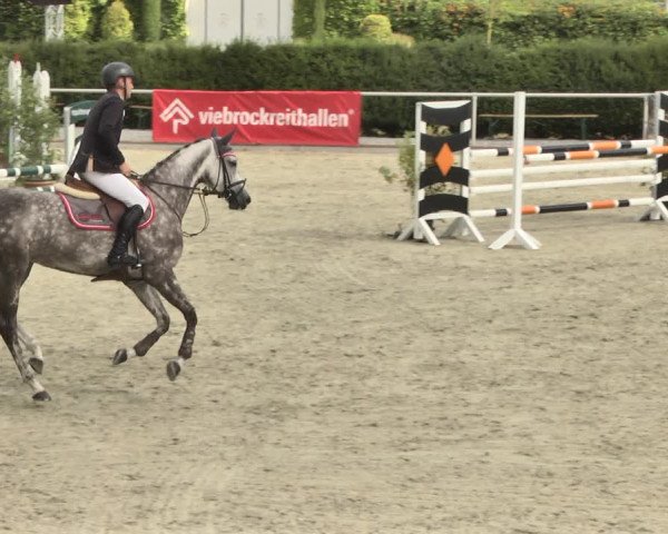 Reitturnier Durmersheim-Hardt 2018