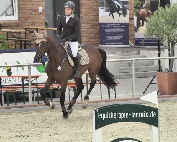 Reitturnier Durmersheim-Hardt 2018