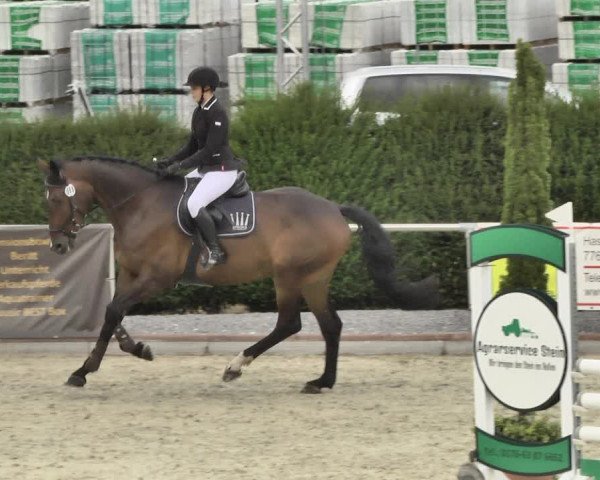 Reitturnier Durmersheim-Hardt 2018