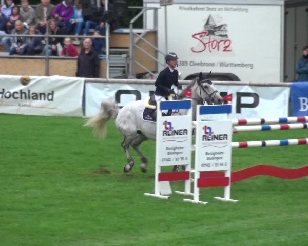 Reitturnier Bietigheim-Bissingen 2018