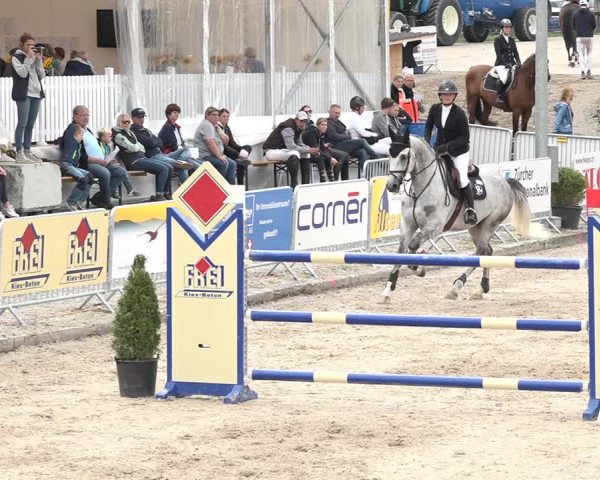 FEI Reitturnier Humlikon (SUI) 2018