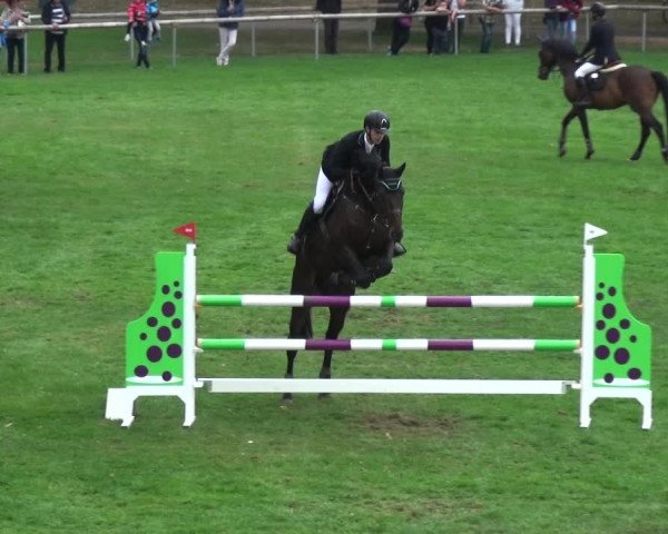Reitturnier Bietigheim-Bissingen 2018