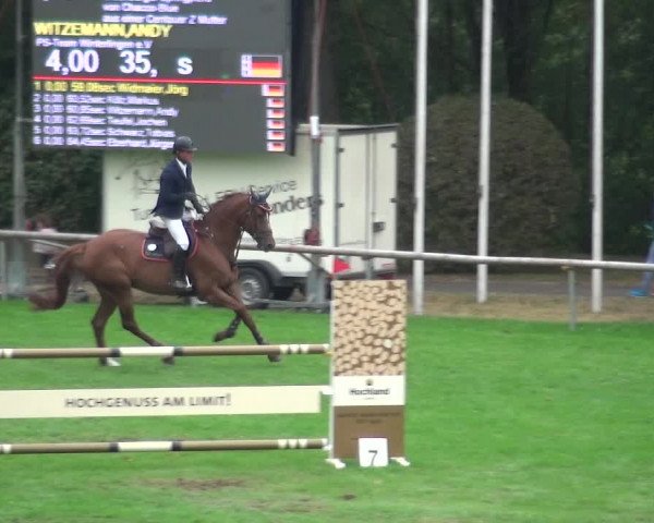 Reitturnier Bietigheim-Bissingen 2018