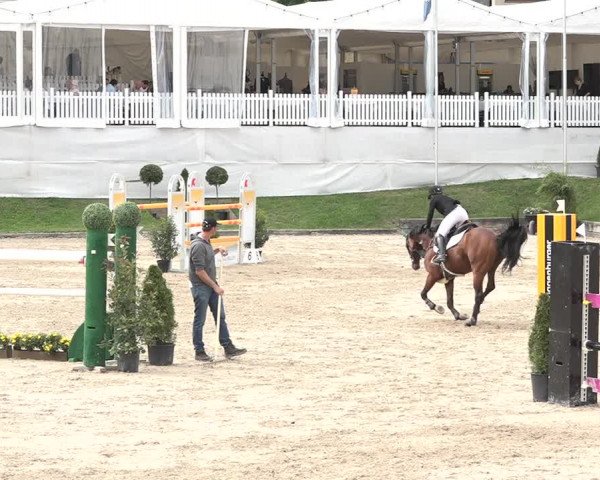 FEI Reitturnier Humlikon (SUI) 2018