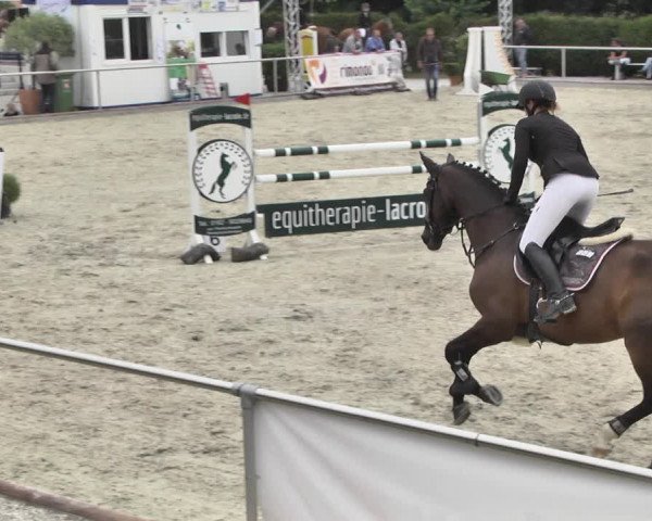Reitturnier Durmersheim-Hardt 2018