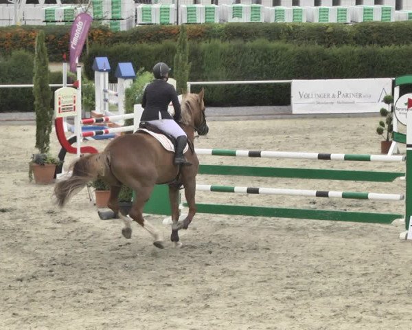 Reitturnier Durmersheim-Hardt 2018