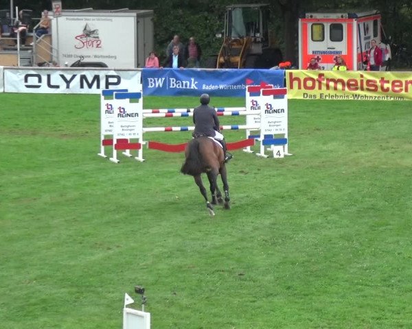 Reitturnier Bietigheim-Bissingen 2018