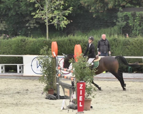 Reitturnier Durmersheim-Hardt 2018