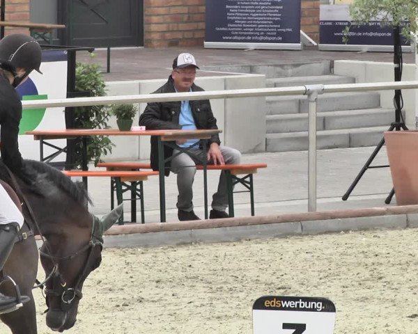 Reitturnier Durmersheim-Hardt 2018