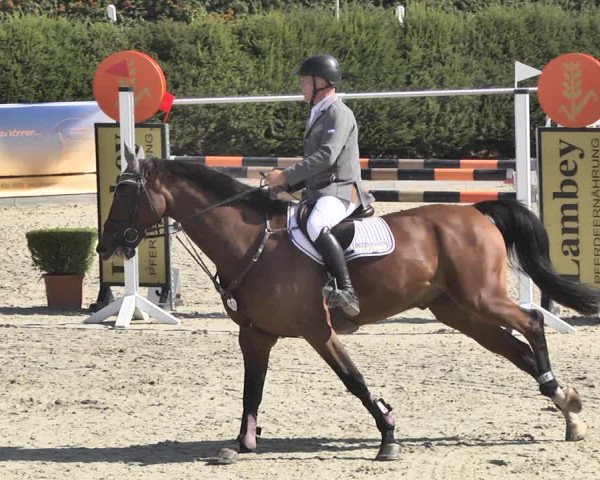 Reitturnier Durmersheim-Hardt 2018