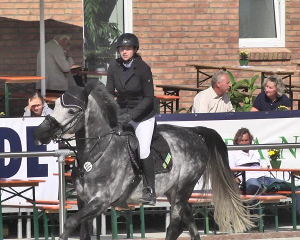 Reitturnier Durmersheim-Hardt 2018