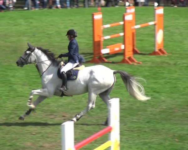 Reitturnier Bietigheim-Bissingen 2018