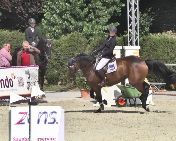 Reitturnier Durmersheim-Hardt 2018