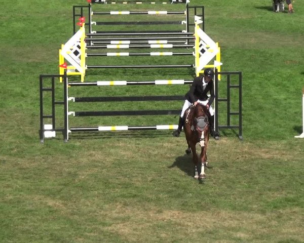 Reitturnier Bietigheim-Bissingen 2018