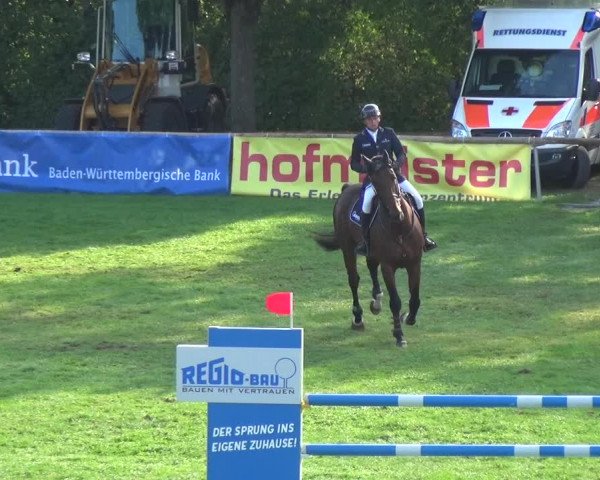 Reitturnier Bietigheim-Bissingen 2018