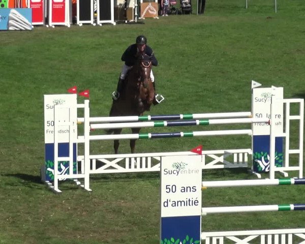 Reitturnier Bietigheim-Bissingen 2018