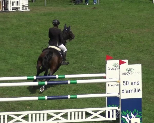 Reitturnier Bietigheim-Bissingen 2018