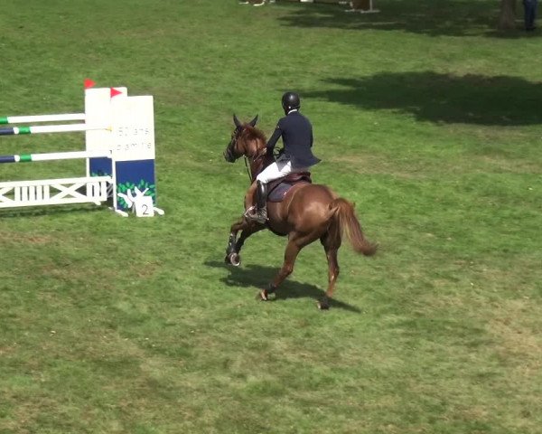 Reitturnier Bietigheim-Bissingen 2018
