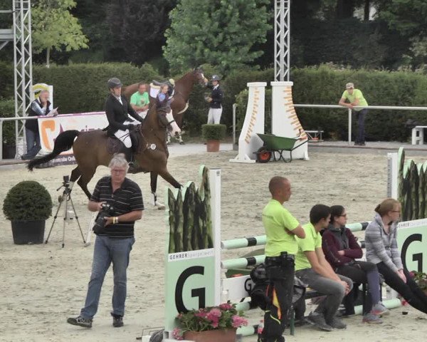 Reitturnier Durmersheim-Hardt 2018