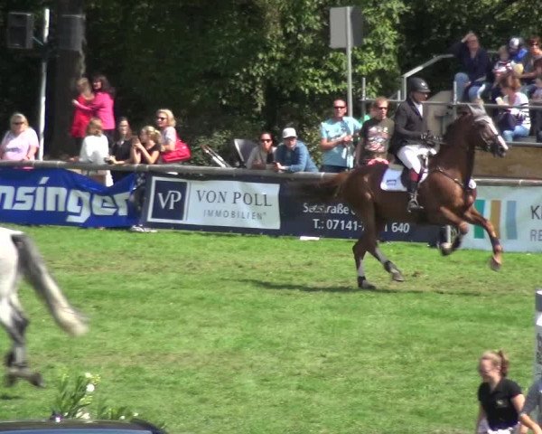 Reitturnier Bietigheim-Bissingen 2018