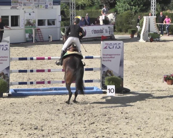 Reitturnier Durmersheim-Hardt 2018