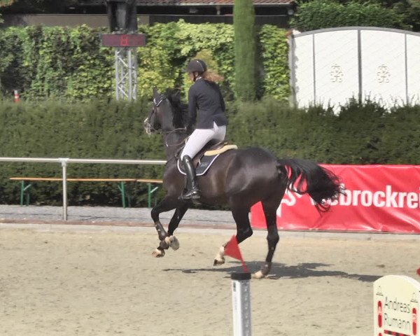Reitturnier Durmersheim-Hardt 2018