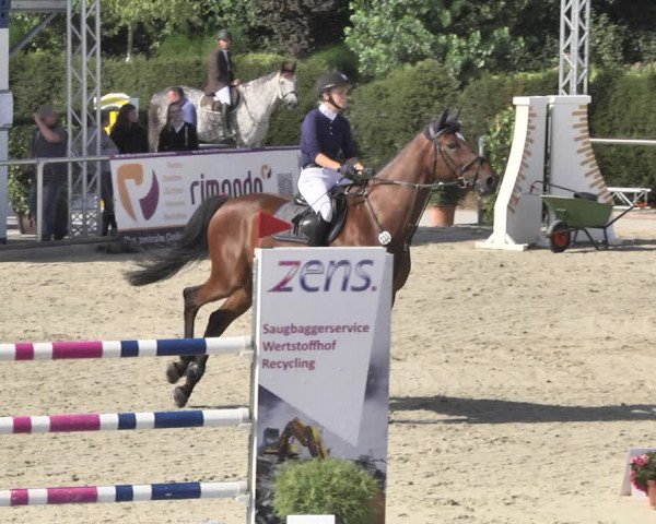 Reitturnier Durmersheim-Hardt 2018