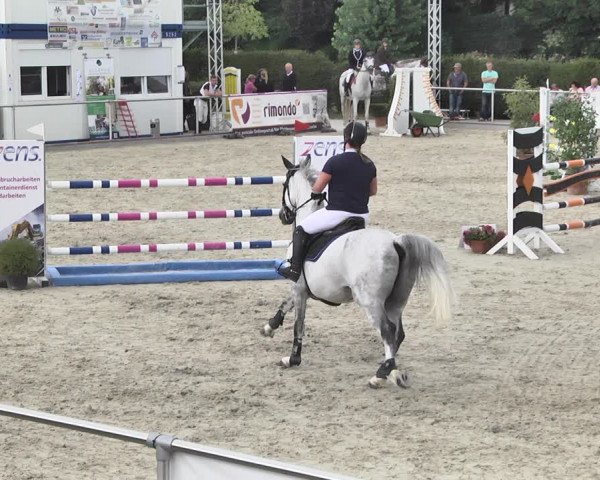 Reitturnier Durmersheim-Hardt 2018