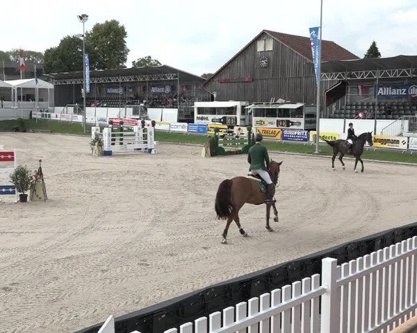 FEI Reitturnier Humlikon (SUI) 2018