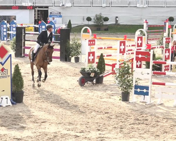 FEI Reitturnier Humlikon (SUI) 2018