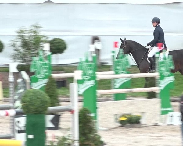 FEI Reitturnier Humlikon (SUI) 2018