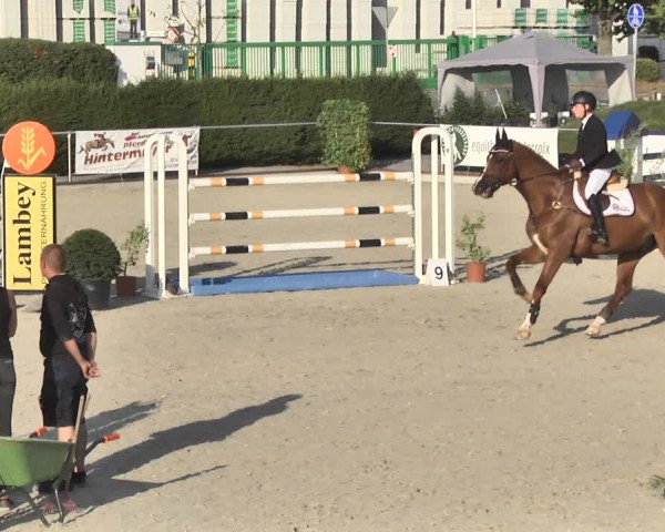 Reitturnier Durmersheim-Hardt 2018