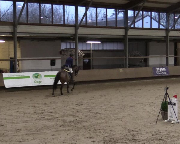 Reitturnier Langenfeld - Gut Langfort 2021