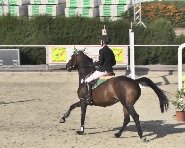 Reitturnier Durmersheim-Hardt 2018