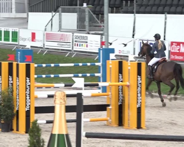 FEI Reitturnier Humlikon (SUI) 2018