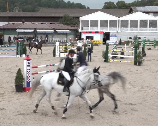 FEI Reitturnier Humlikon (SUI) 2018