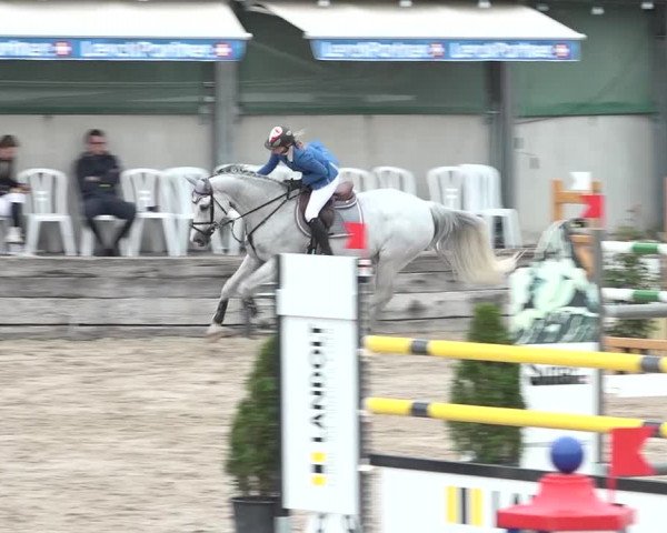 FEI Reitturnier Humlikon (SUI) 2018