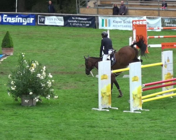 Reitturnier Bietigheim-Bissingen 2018