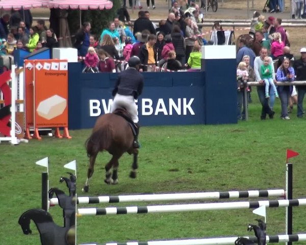 Reitturnier Bietigheim-Bissingen 2018