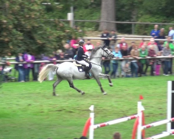 Reitturnier Bietigheim-Bissingen 2018