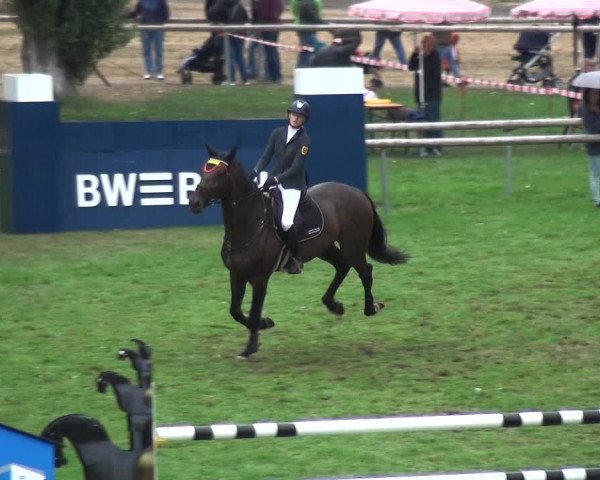 Reitturnier Bietigheim-Bissingen 2018