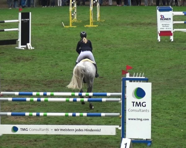 Reitturnier Bietigheim-Bissingen 2018