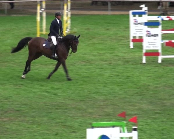 Reitturnier Bietigheim-Bissingen 2018