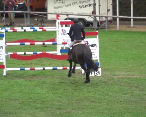 Reitturnier Bietigheim-Bissingen 2018